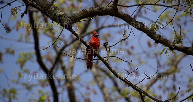  portfolio image 03