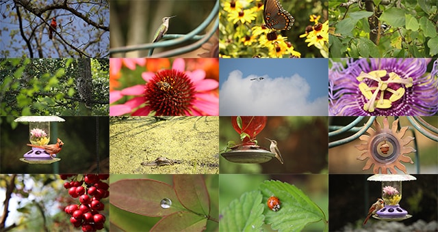 Gallery Portfolio Image
